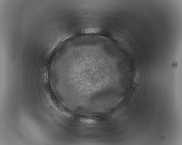 X0000113240743200909241546