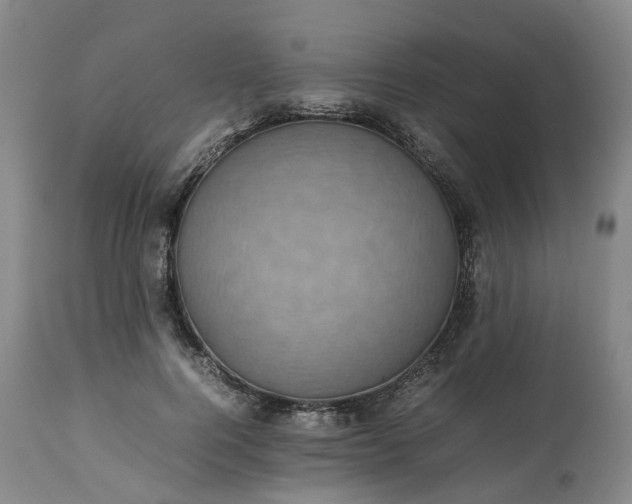 X0000113240744200909241546