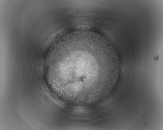 X0000113240745200909241546