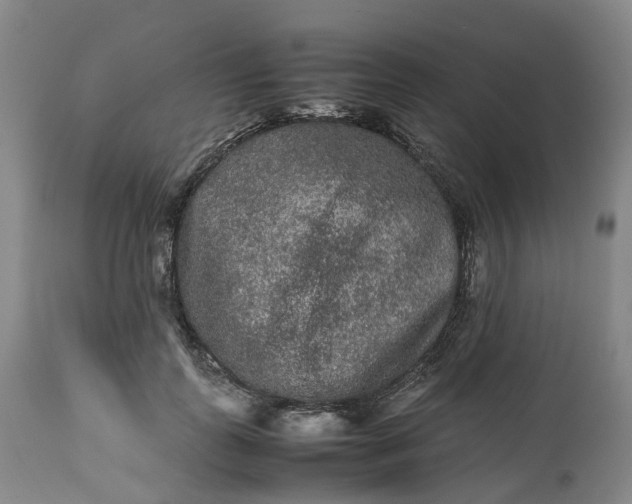 X0000113240747200909241546