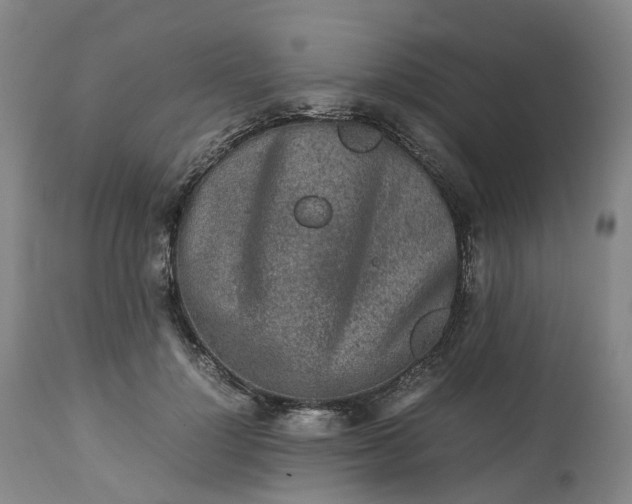 X0000113240748200909241546