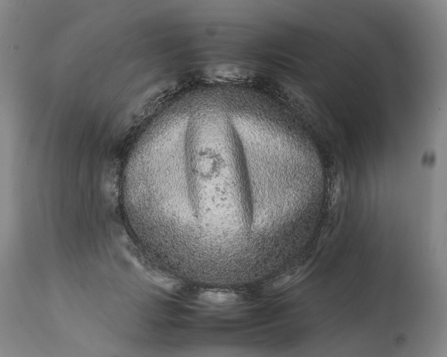 X0000113240749200909241546