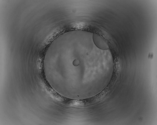 X0000113240750200909241546