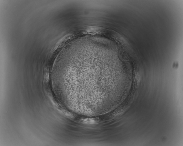 X0000113240751200909241546