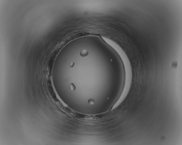 X0000113240752200909241546