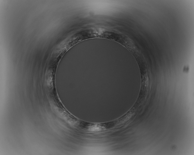 X0000113240754200909241546