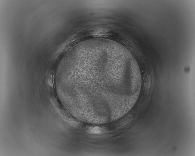 X0000113240755200909241546