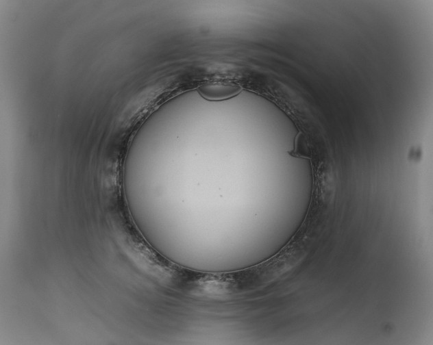 X0000113240756200909241546