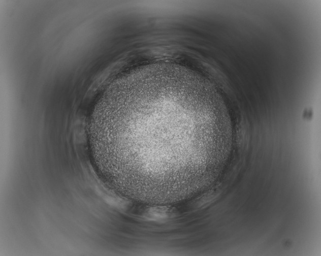 X0000113240757200909241546