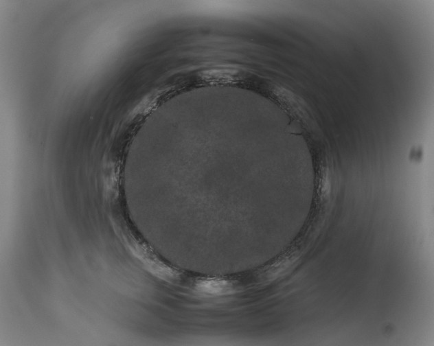 X0000113240759200909241546