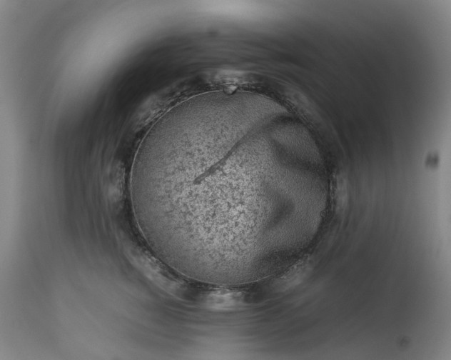 X0000113240760200909241546