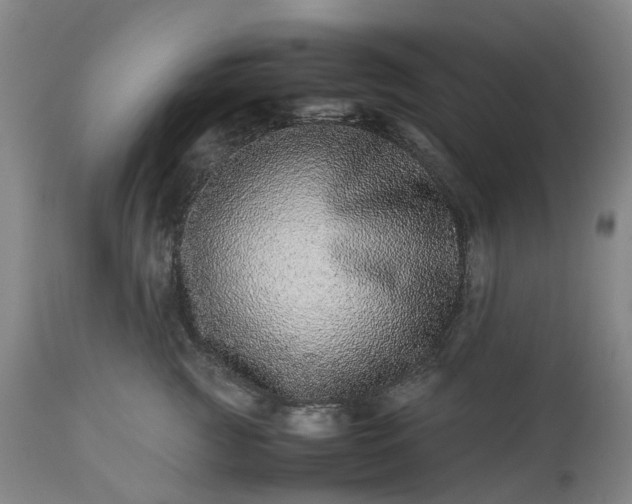 X0000113240761200909241546