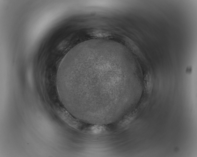 X0000113240762200909241546