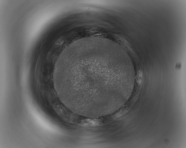 X0000113240763200909241546