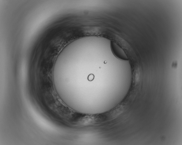 X0000113240764200909241546