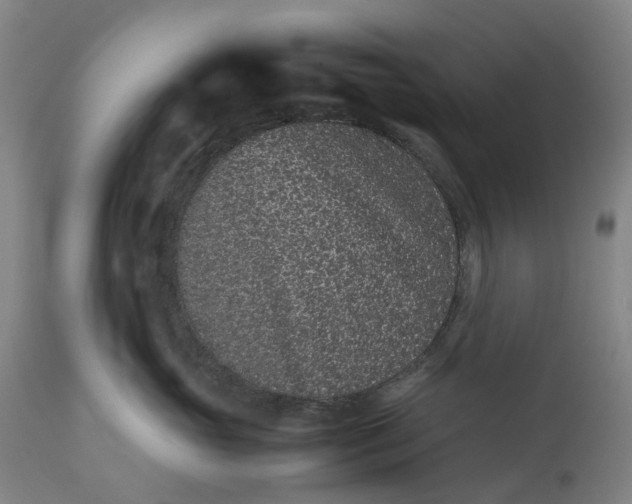 X0000113240765200909241546