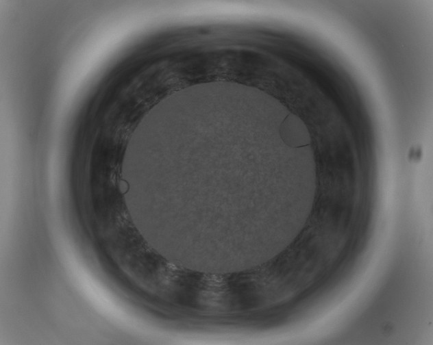 X0000113240766200909241546