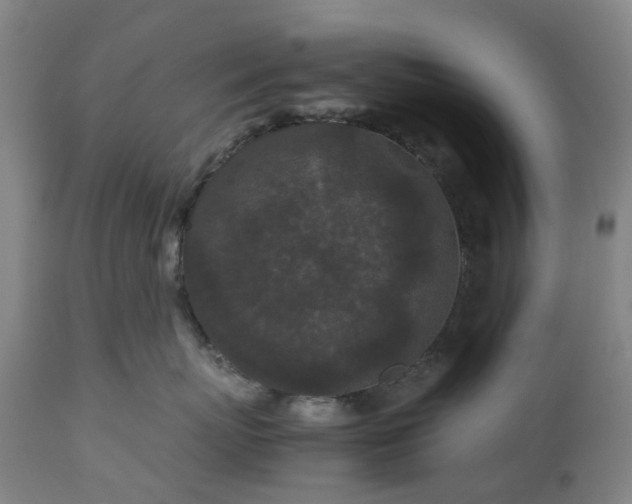 X0000113240767200909241546