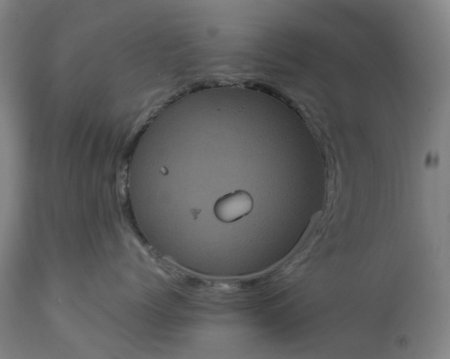 X0000113240768200909241546