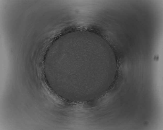 X0000113240769200909241545