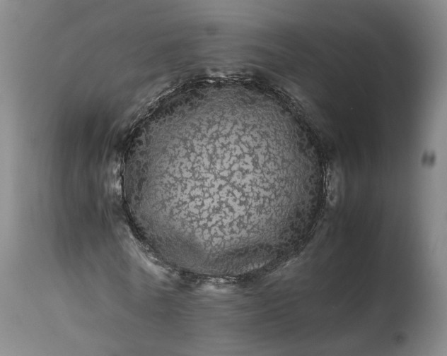 X0000113240770200909241545