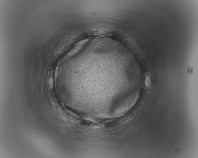 X0000113240771200909241545