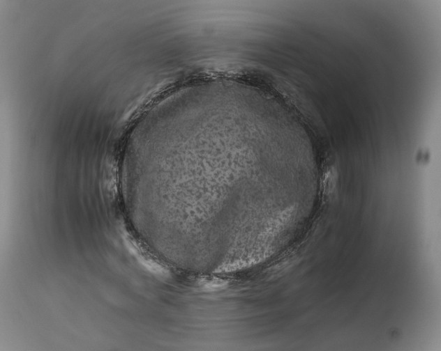 X0000113240772200909241545