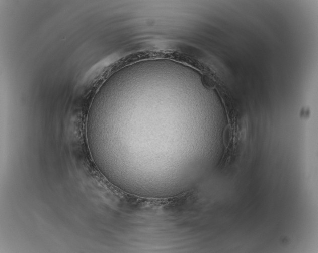 X0000113240773200909241545