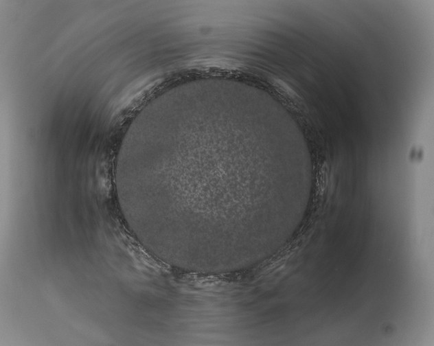 X0000113240774200909241545