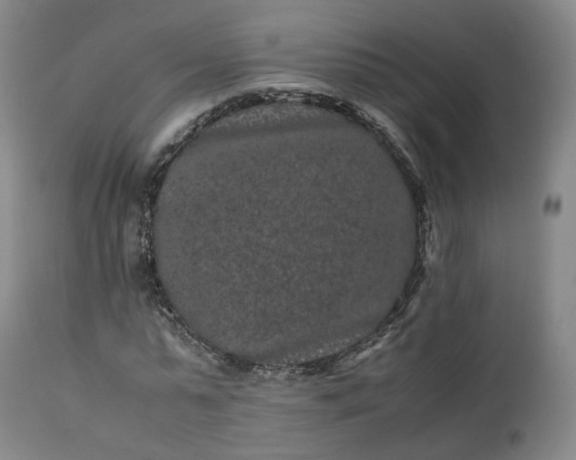 X0000113240775200909241545