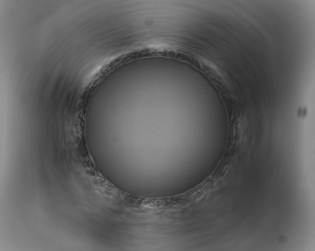 X0000113240776200909241545