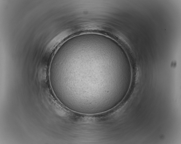 X0000113240777200909241545