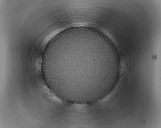 X0000113240778200909241545