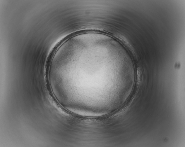 X0000113240780200909241545