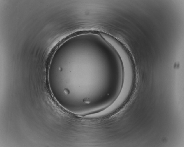 X0000113240781200909241545