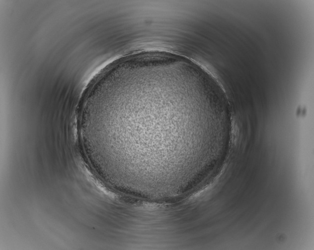 X0000113240782200909241545