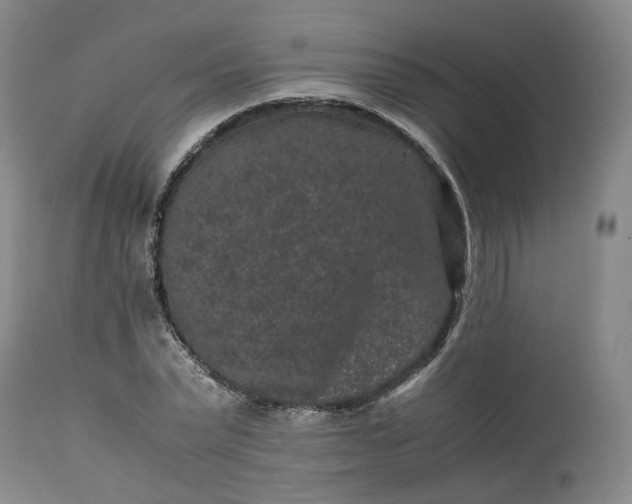 X0000113240783200909241545