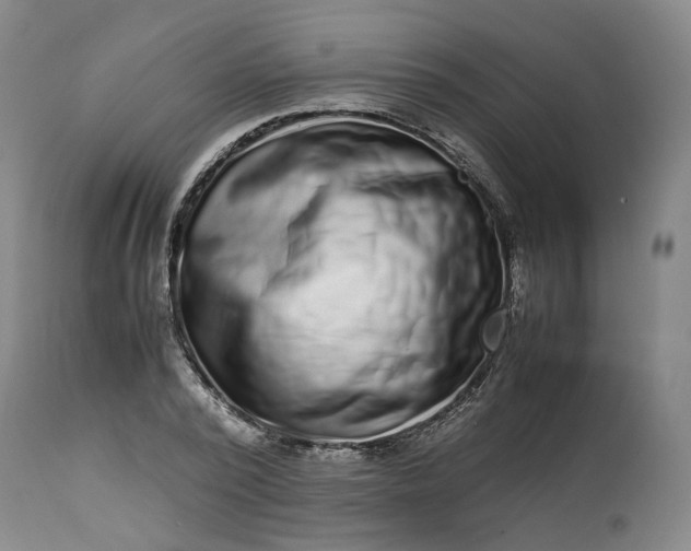 X0000113240784200909241545