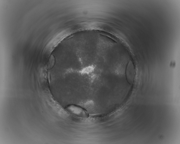 X0000113240785200909241545