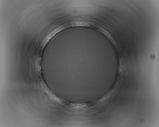 X0000113240786200909241545