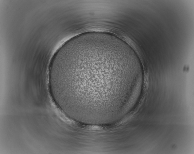 X0000113240787200909241545