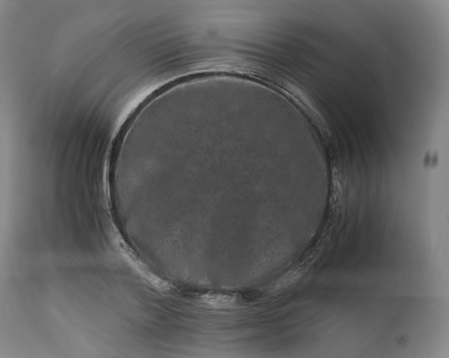 X0000113240788200909241545