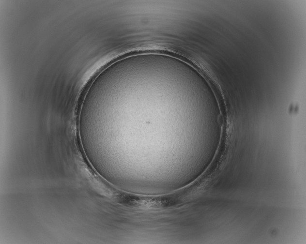 X0000113240789200909241545