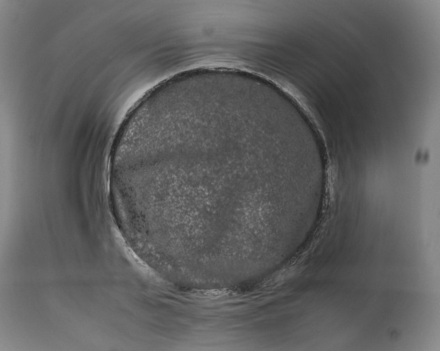 X0000113240791200909241545