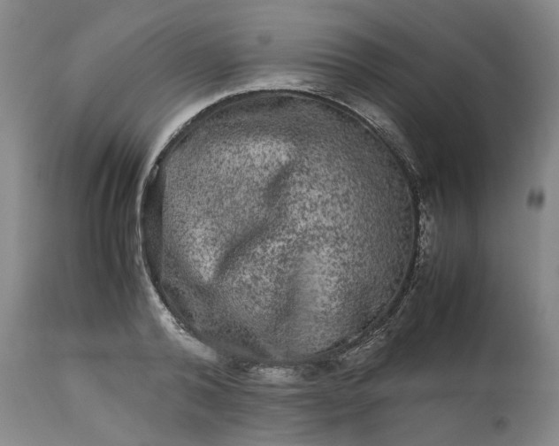 X0000113240792200909241545