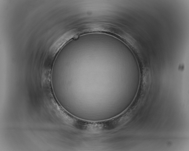 X0000113240793200909241545