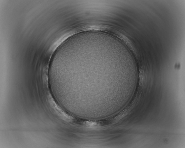 X0000113240794200909241545