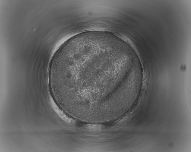 X0000113240795200909241545