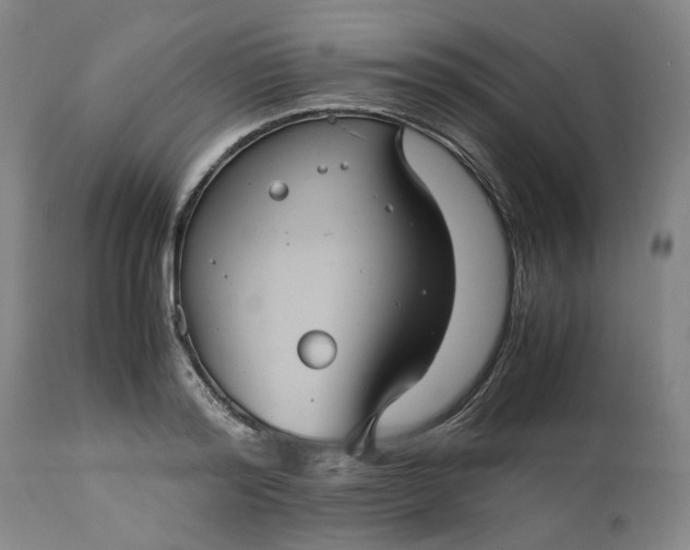 X0000113240796200909241545