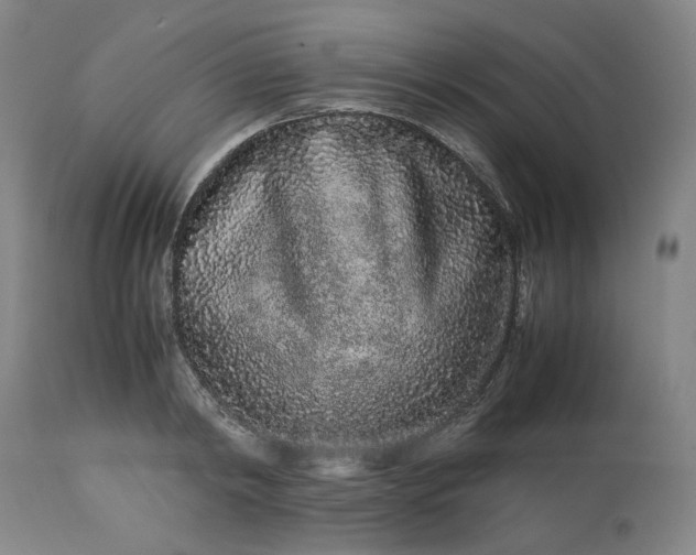 X0000113240798200909241545